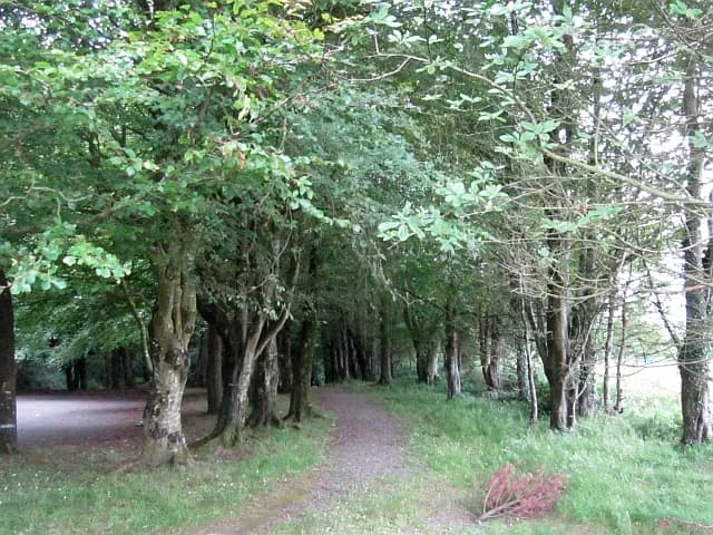 Belleek Woods