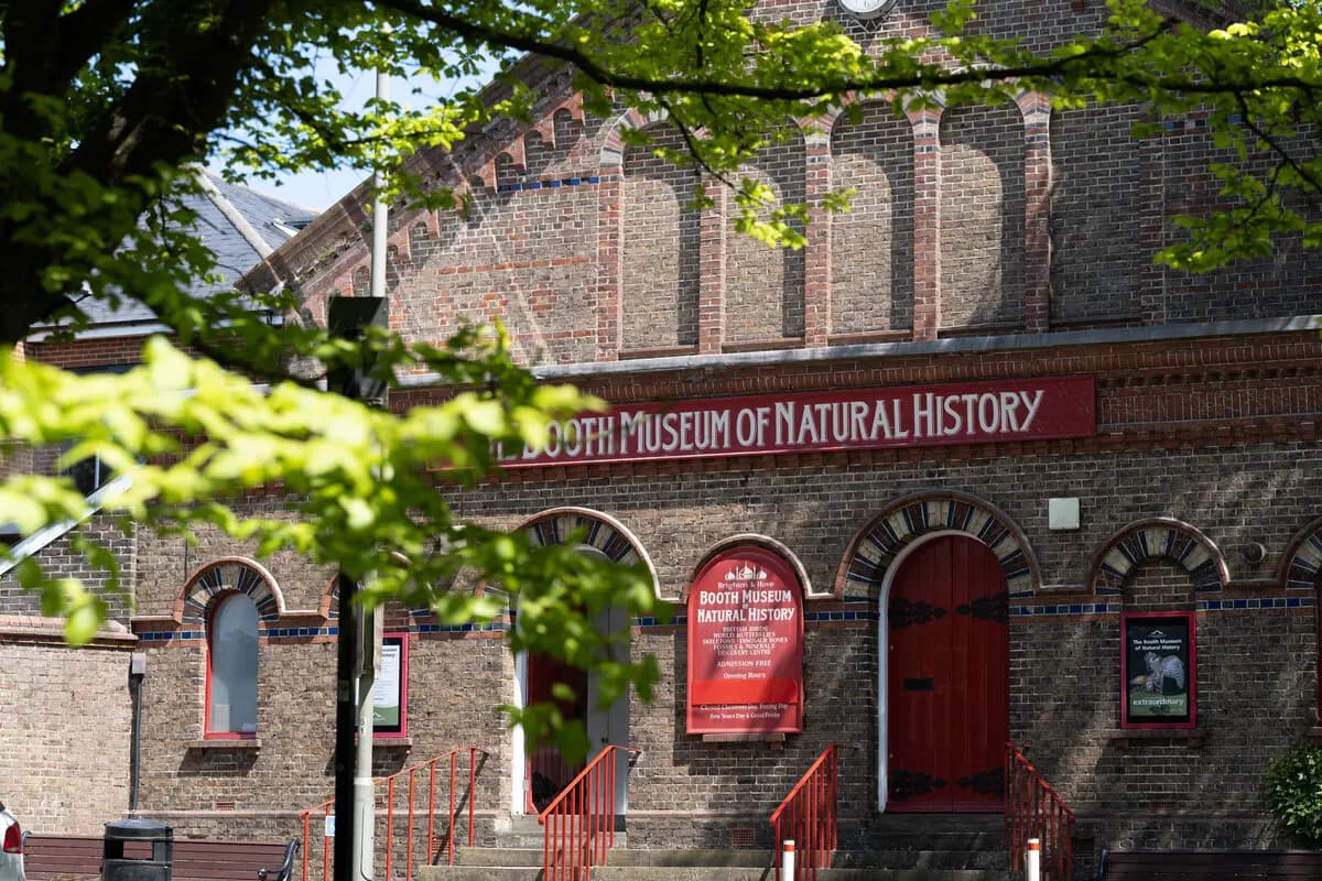 Booth Museum of Natural History