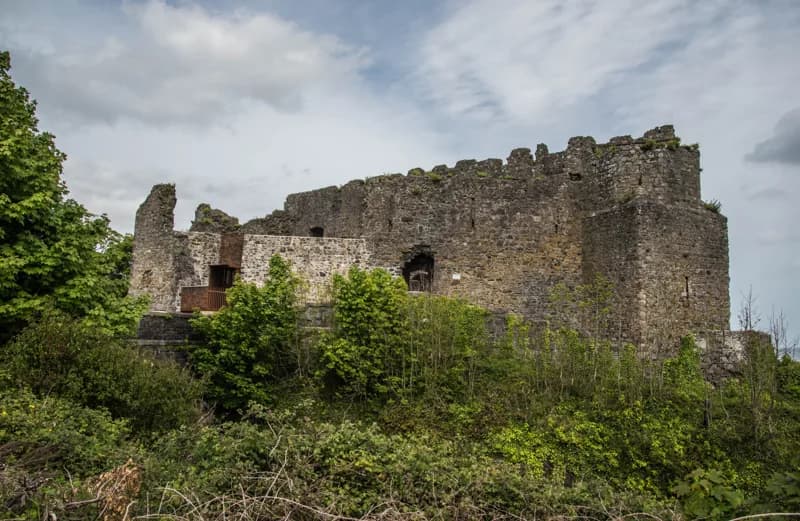 King John's Castle (Carlingford Castle)