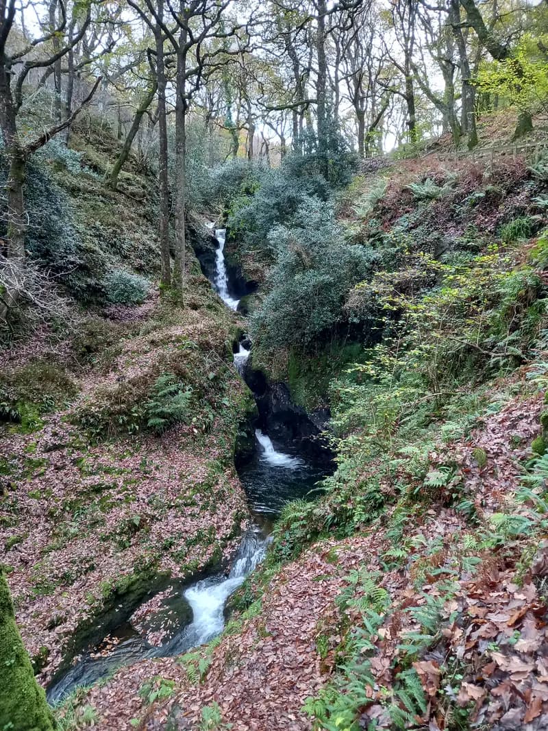Poulanass Waterfall Walk