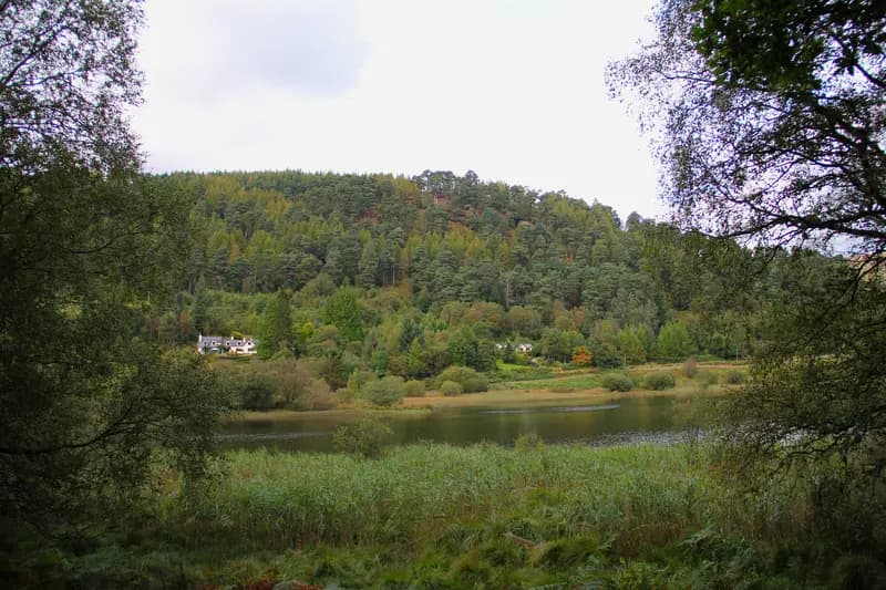 The Green Road Walk (Lower Lake Loop)