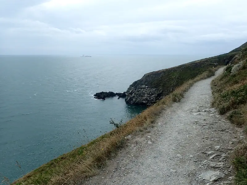 Families walking the Howth cliff path with sea views behind them