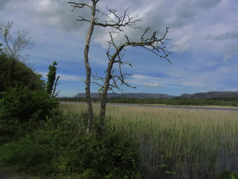 Garavogue River & Doorly Park Walk
