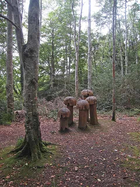 Hazelwood Sculpture Trail