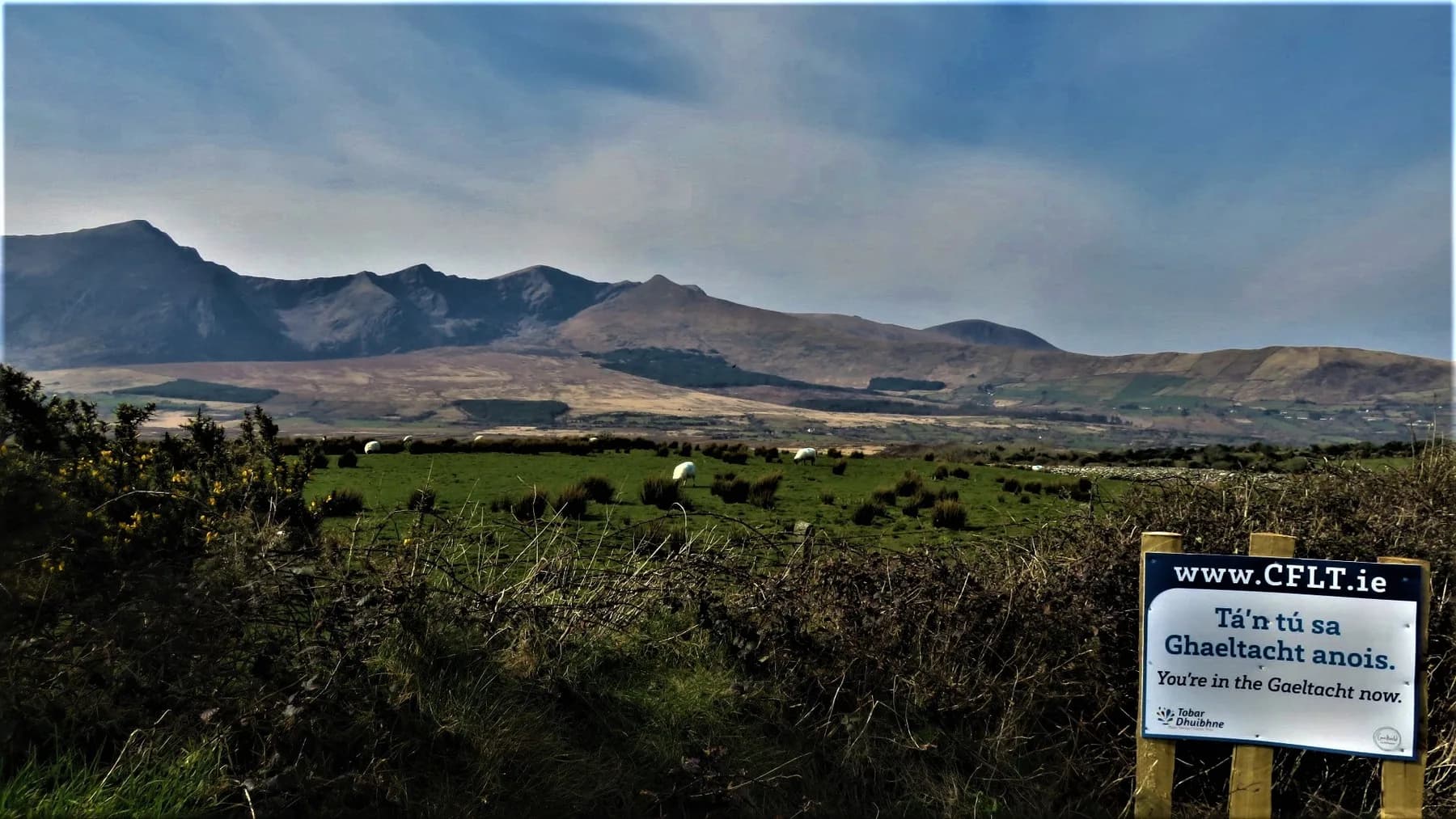A bilingual sign reading 'Ta'n tu sa Ghaeltacht anois / You're in the Gaeltacht now' in a Kerry landscape with mountains and sheep