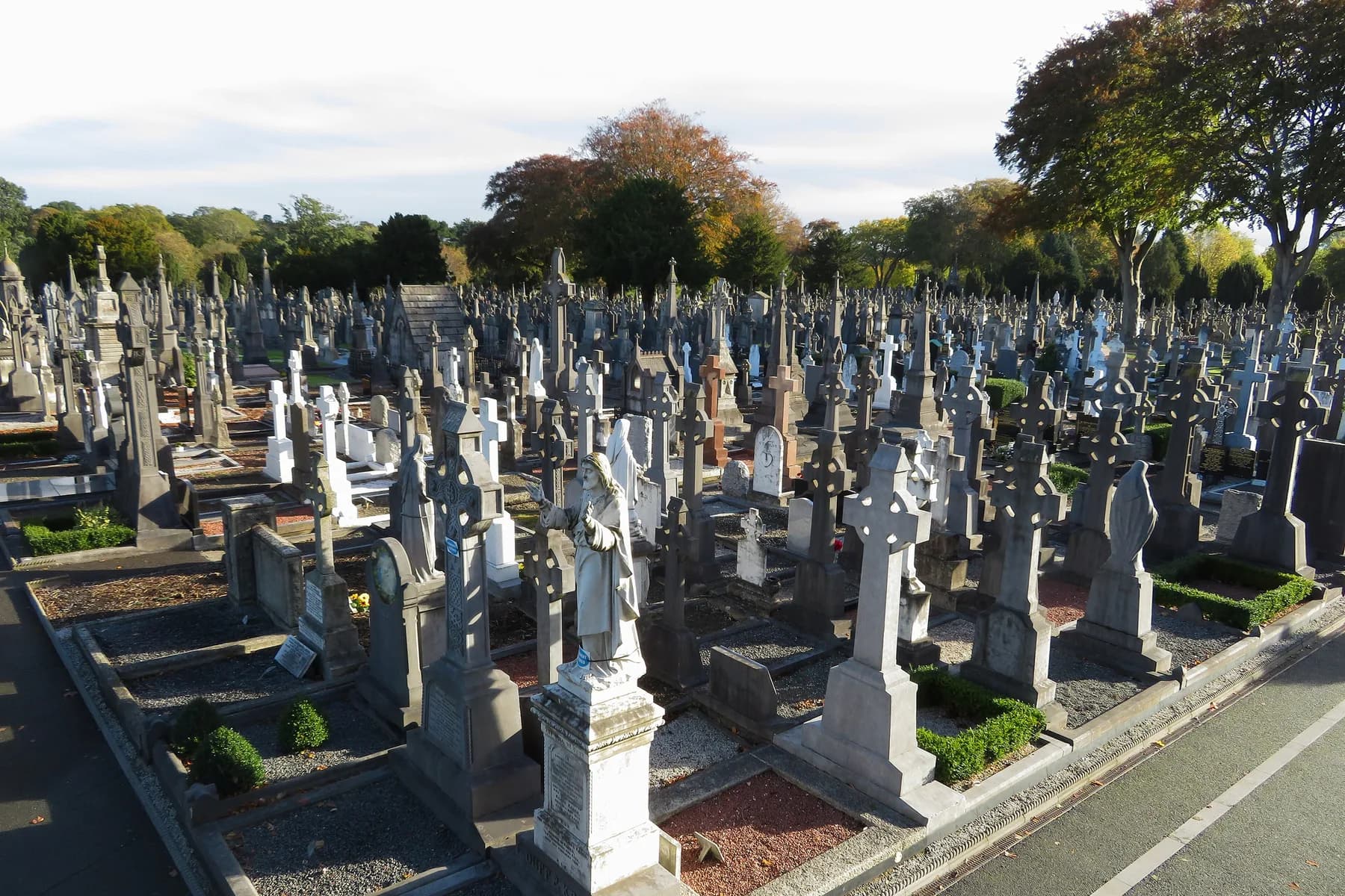 Rows of historic headstones and Celtic crosses at Glasnevin Cemetery in Dublin, under autumn trees