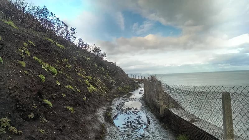 Bray Head Loop