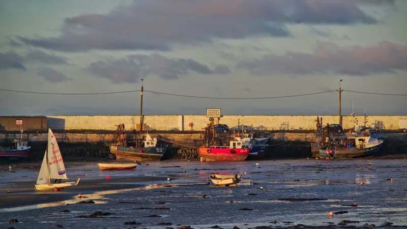 The Harbour & Red Island