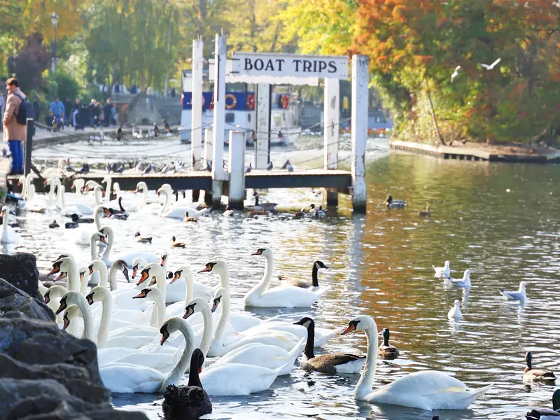 Thames Boat Trips