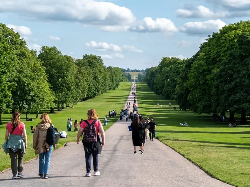 The Long Walk & Great Park